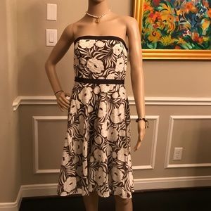 Ann Taylor Dress 👗
